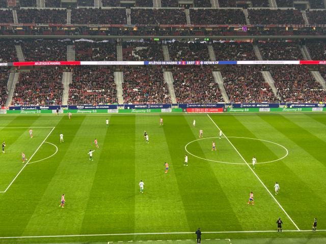 1738730911651041475.jpg 2.jpg